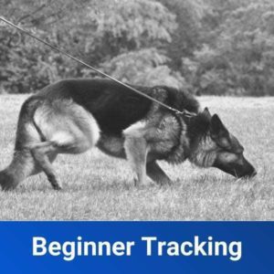 Beginner Tracking