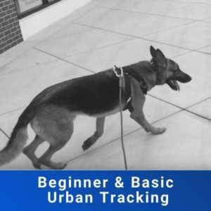 Beginner and Basic Urban Tracking