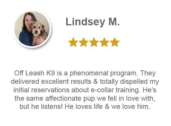 OLK9 is a phenomenal dog training program for e-collar training
