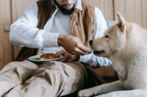 5 Dog-Friendly Restaurants In Norfolk Virginia Beach