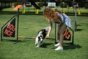 Keeping Fit and Active: 10 Benefits of Exercise for Dogs